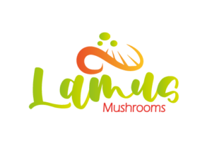 Orellanas Lamus
